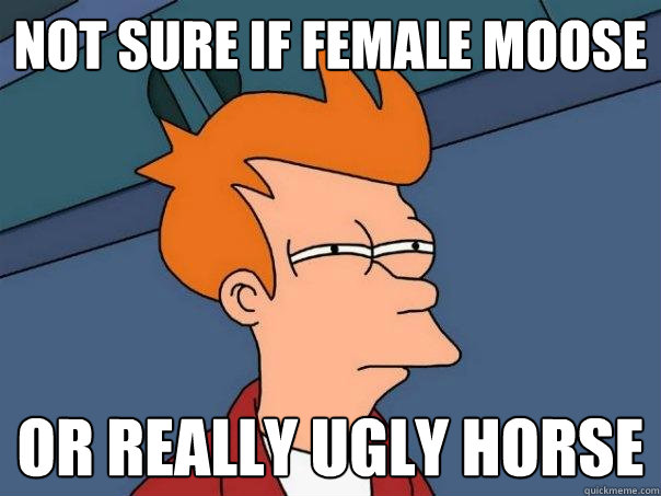 Not sure if female moose  or really ugly horse  Futurama Fry