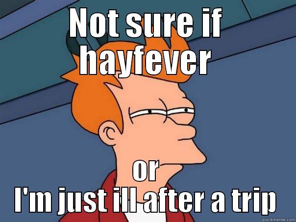 NOT SURE IF HAYFEVER OR I'M JUST ILL AFTER A TRIP Futurama Fry