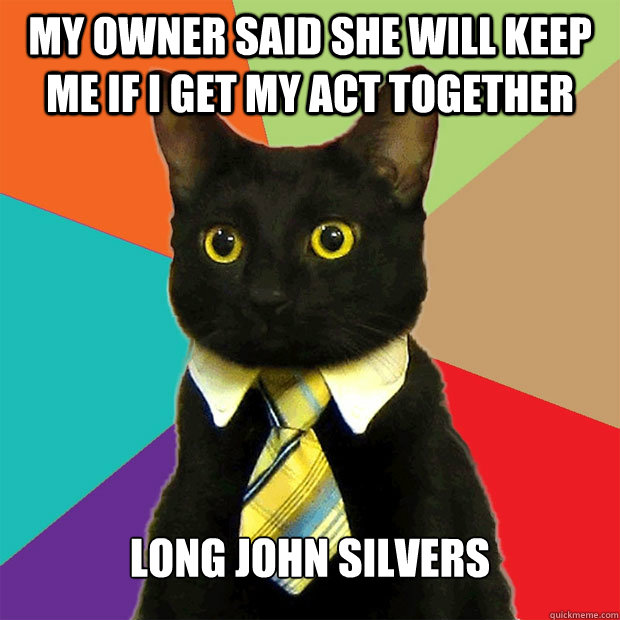 my owner said she will keep me if i get my act together  long john silvers  Business Cat