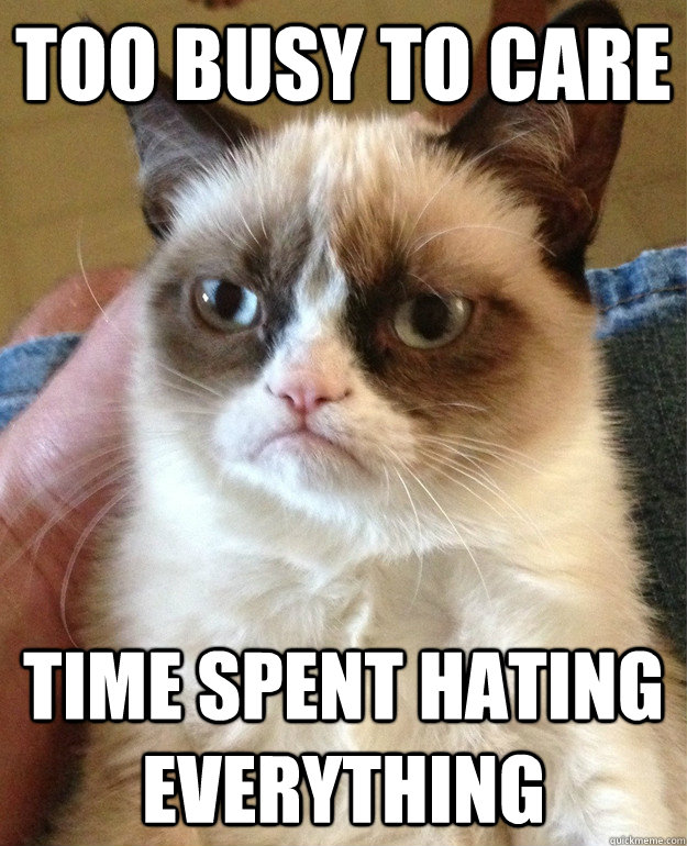 Too busy to care Time spent hating everything  Grumpy Cat