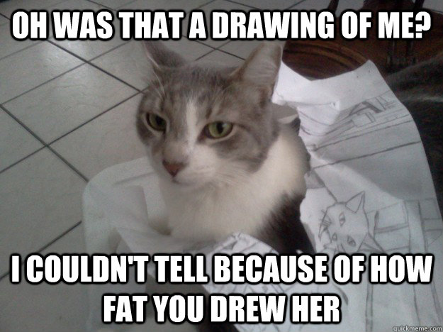 Oh was that a drawing of me? I couldn't tell because of how FAT you drew her  