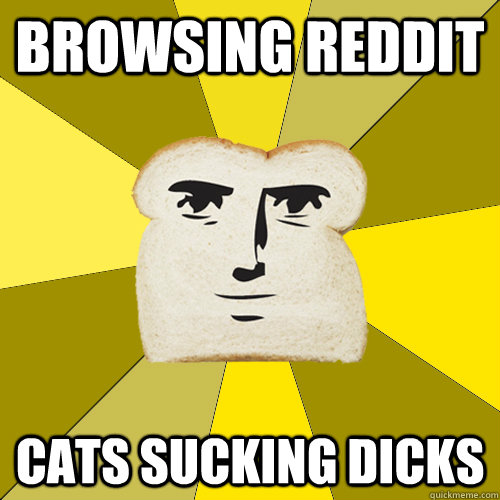 browsing reddit cats sucking dicks  Breadfriend