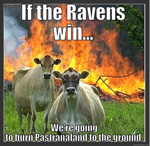 Burning Down the House - IF THE RAVENS WIN... WE'RE GOING TO BURN PASTRANALAND TO THE GROUND. Evil cows