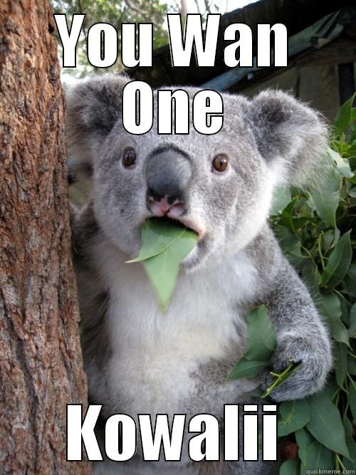 YOU WAN ONE KOWALII koala bear