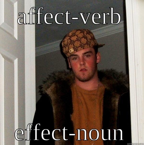 AFFECT-VERB EFFECT-NOUN Scumbag Steve