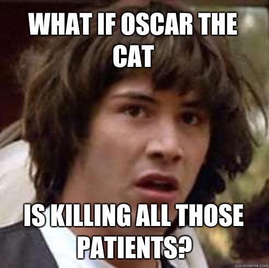 What if Oscar the cat Is killing all those patients?  conspiracy keanu