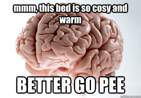 mmm, this bed is so cosy and warm BETTER GO PEE   Scumbag Brain