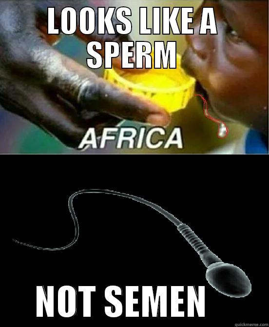 african sperm - LOOKS LIKE A SPERM       NOT SEMEN         Misc
