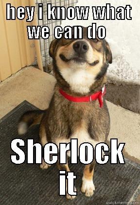 HEY I KNOW WHAT WE CAN DO  SHERLOCK IT Good Dog Greg