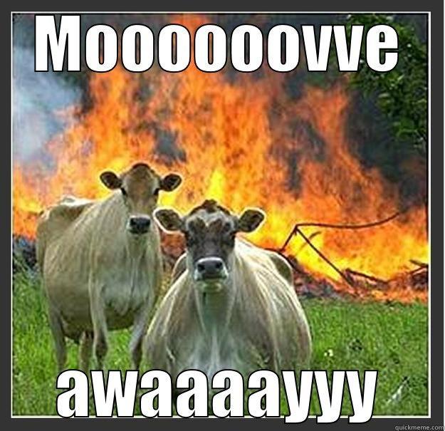 MOOOOOOVVE AWAAAAYYY Evil cows