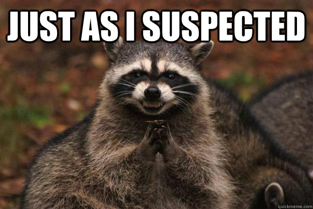 just as i suspected  - just as i suspected   Evil Plotting Raccoon