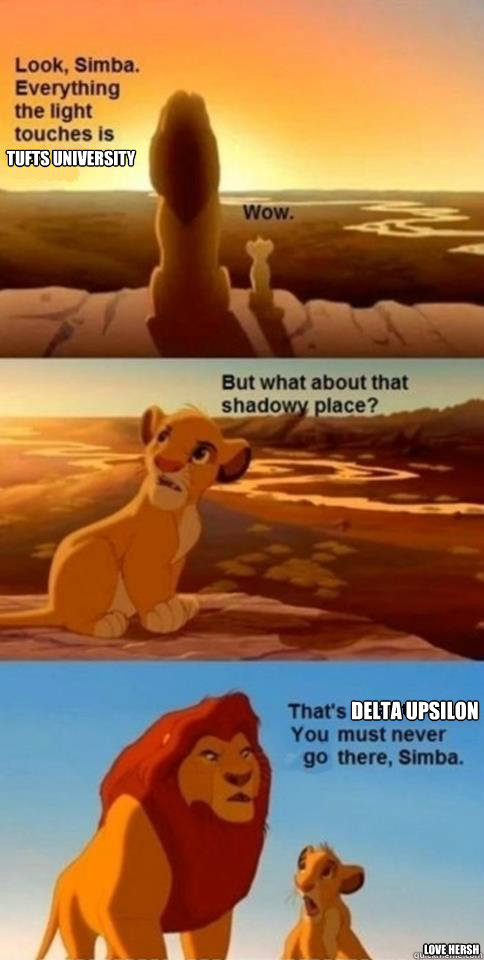 Tufts University Delta Upsilon  Love Hersh  Everything the Light Touches