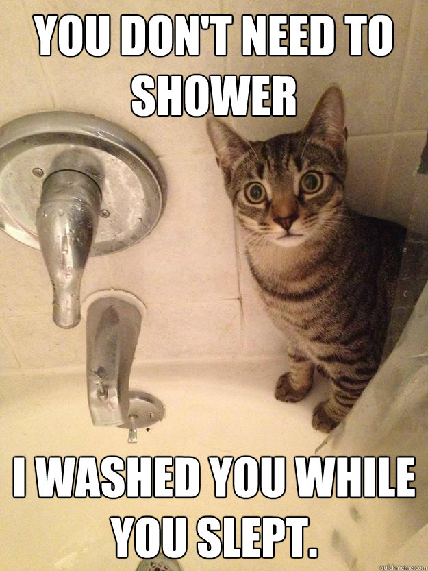 You don't need to shower I washed you while you slept. - You don't need to shower I washed you while you slept.  Overly attatched cat