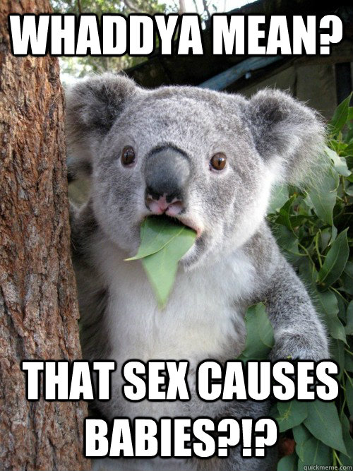 Whaddya mean? That sex causes BABIES?!? - Whaddya mean? That sex causes BABIES?!?  koala bear