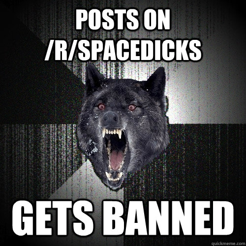 posts on /r/spacedicks gets banned  