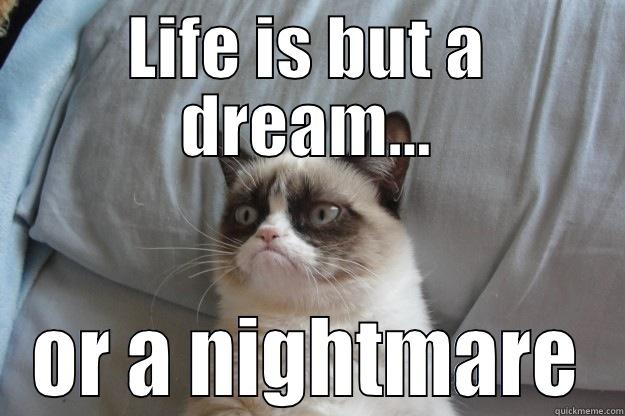 LIFE IS BUT A DREAM... OR A NIGHTMARE Grumpy Cat