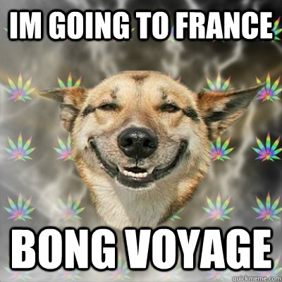 im going to france bong voyage  Stoner Dog