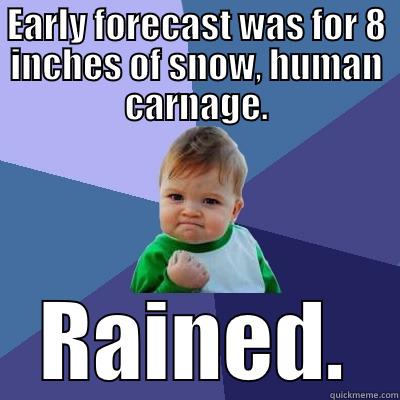 EARLY FORECAST WAS FOR 8 INCHES OF SNOW, HUMAN CARNAGE. RAINED. Success Kid