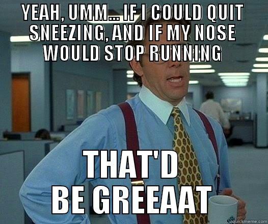 YEAH, UMM... IF I COULD QUIT SNEEZING, AND IF MY NOSE WOULD STOP RUNNING THAT'D BE GREEAAT Office Space Lumbergh