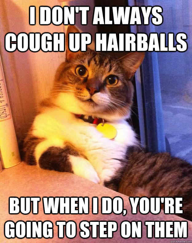 i don't always cough up hairballs but when I do, you're going to step on them - i don't always cough up hairballs but when I do, you're going to step on them  Misc