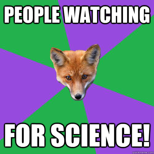 People watching for science!  Anthropology Major Fox