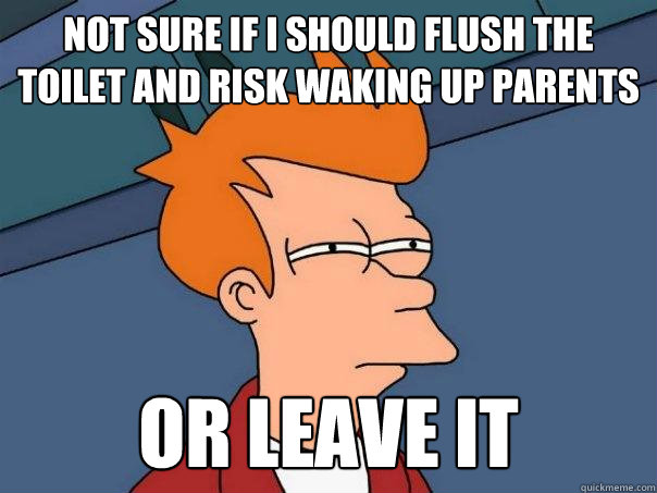 Not Sure If I should flush the toilet and risk waking up parents or leave it  Futurama Fry