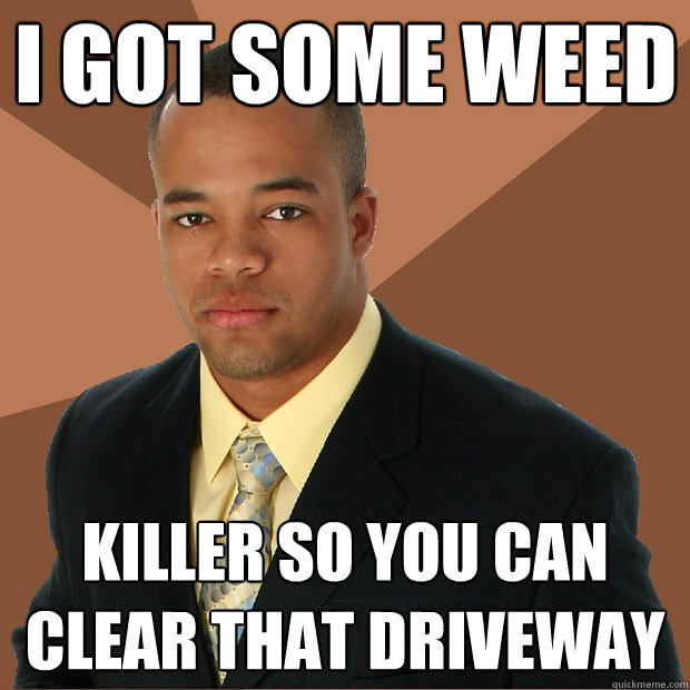 I got some weed killer so you can clear that driveway  Successful Black Man