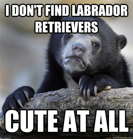 I don't find labrador retrievers cute at all - I don't find labrador retrievers cute at all  Confession Bear