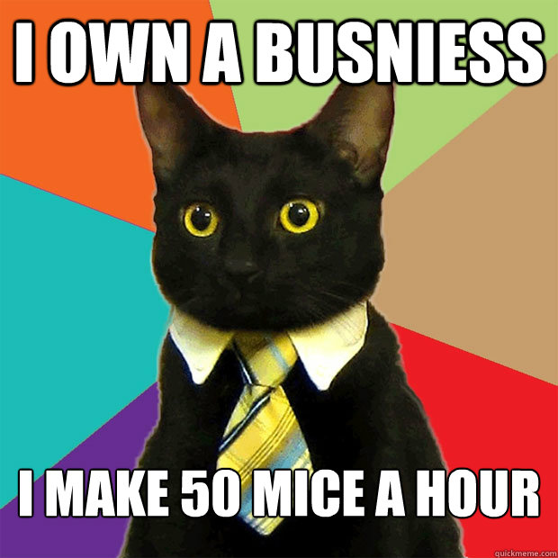 i own a busniess i make 50 mice a hour  Business Cat