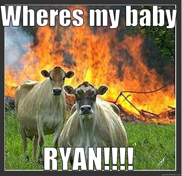 Hello :)  - WHERES MY BABY  RYAN!!!! Evil cows