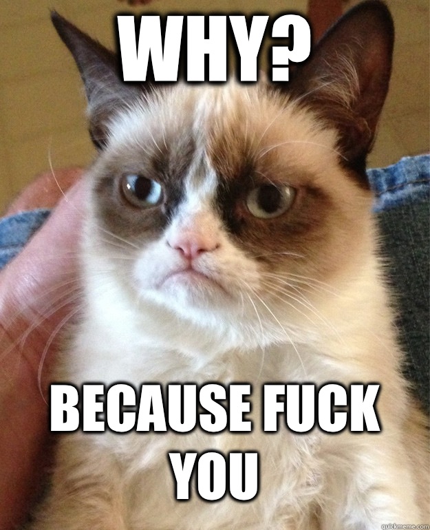 Why? Because Fuck You  Grumpy Cat