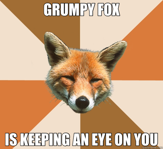 GRUMPY FOX IS KEEPING AN EYE ON YOU  Condescending Fox