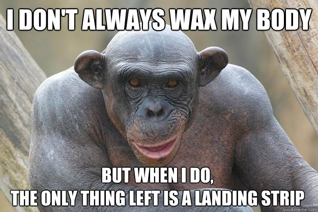 I don't always wax my body but when I do, 
the only thing left is a landing strip  The Most Interesting Chimp In The World