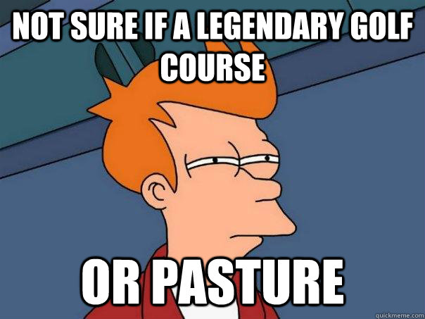 not sure if a legendary golf course or pasture   Futurama Fry