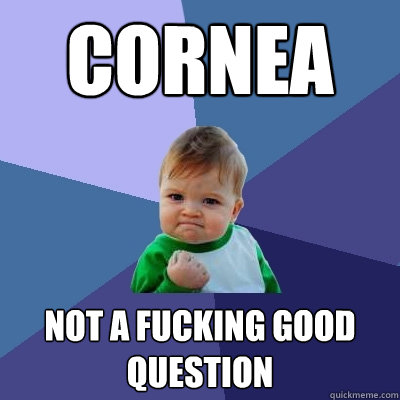 cornea not a fucking good question  Success Kid