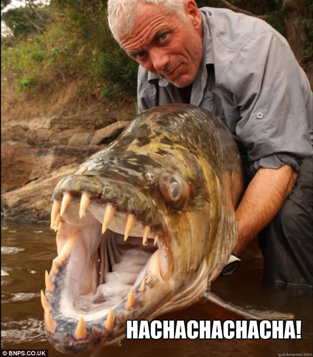 Hachachachacha! - Hachachachacha!  Comedy Fish