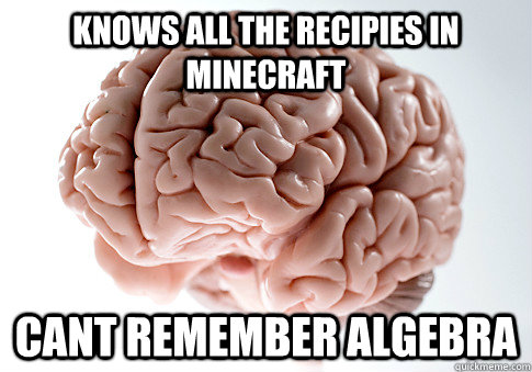 Knows all the recipies in minecraft Cant remember algebra   Scumbag Brain