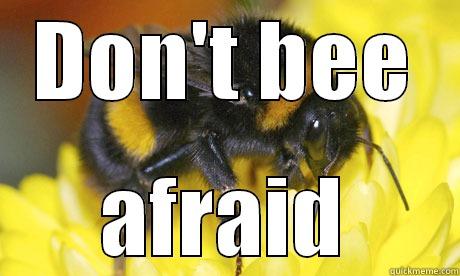 DON'T BEE AFRAID Misc