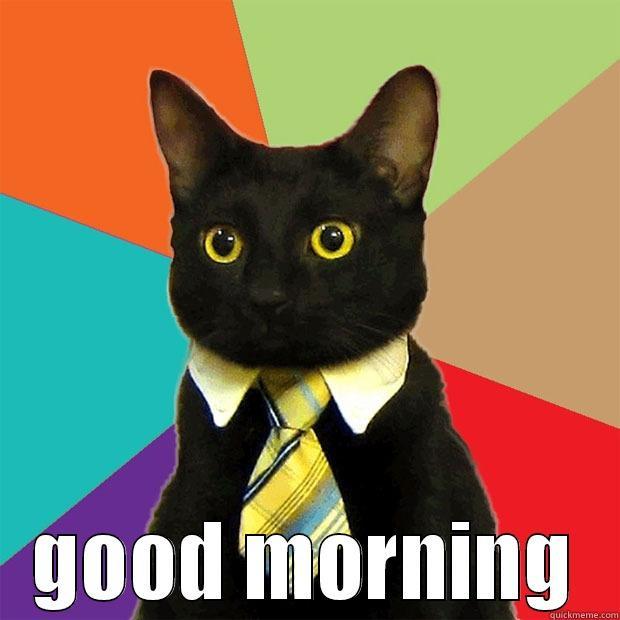 do i look ok? -  GOOD MORNING Business Cat