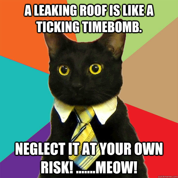 A leaking roof is like a ticking timebomb. Neglect it at your own risk! .......Meow!  Business Cat