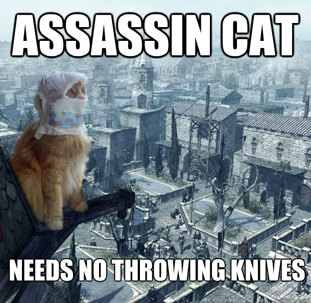 Assassin Cat Needs no throwing knives  Assassin Cat