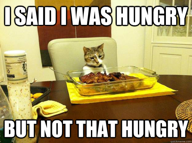 I said i was hungry but not that hungry - I said i was hungry but not that hungry  Dinner Time Blues Cat