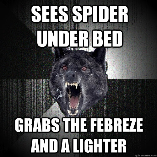 sees spider under bed grabs the febreze and a lighter  Insanity Wolf