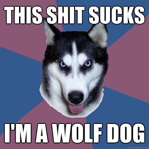 THIS SHIT SUCKS I'M A WOLF DOG  Creeper Canine