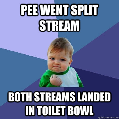 Pee went split stream Both streams landed in toilet bowl  Success Kid