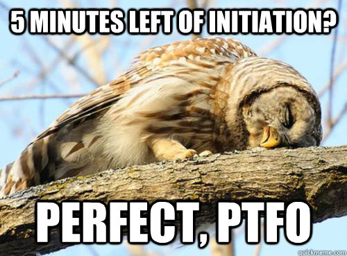 5 minutes left of initiation? perfect, ptfo  PTFO Owl