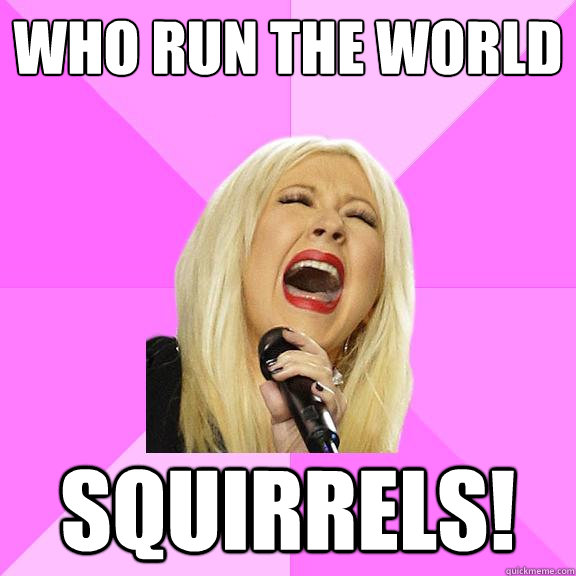 WHO RUN THE WORLD SQUIRRELS!  Wrong Lyrics Christina