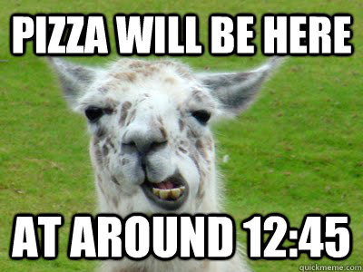 Pizza will be here at around 12:45 - Pizza will be here at around 12:45  pizza llama