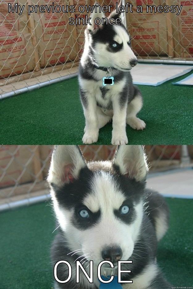 MY PREVIOUS OWNER LEFT A MESSY SINK ONCE ONCE Insanity puppy