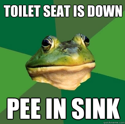 Toilet seat is down pee in sink  Foul Bachelor Frog